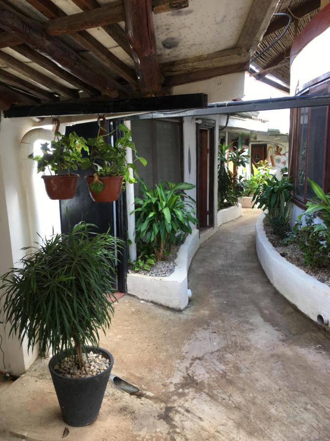 Pura Vida Hostel 塔马林多 外观 照片