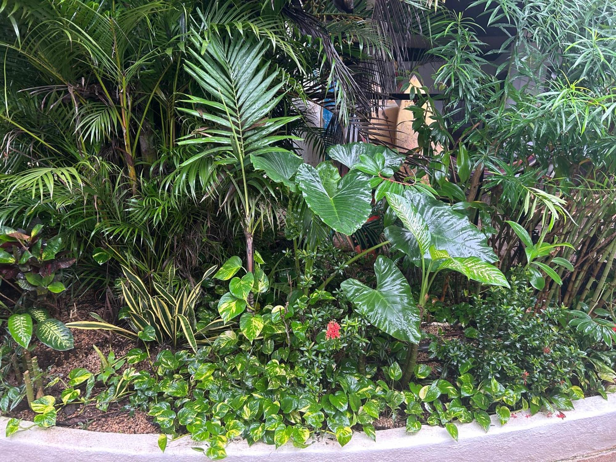 Pura Vida Hostel 塔马林多 外观 照片