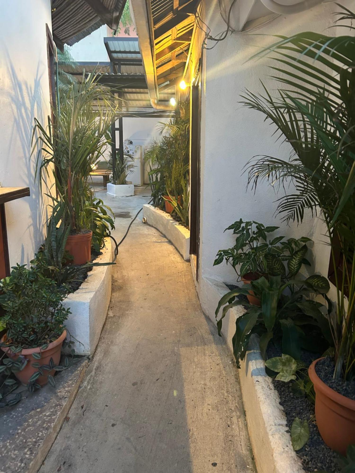 Pura Vida Hostel 塔马林多 外观 照片