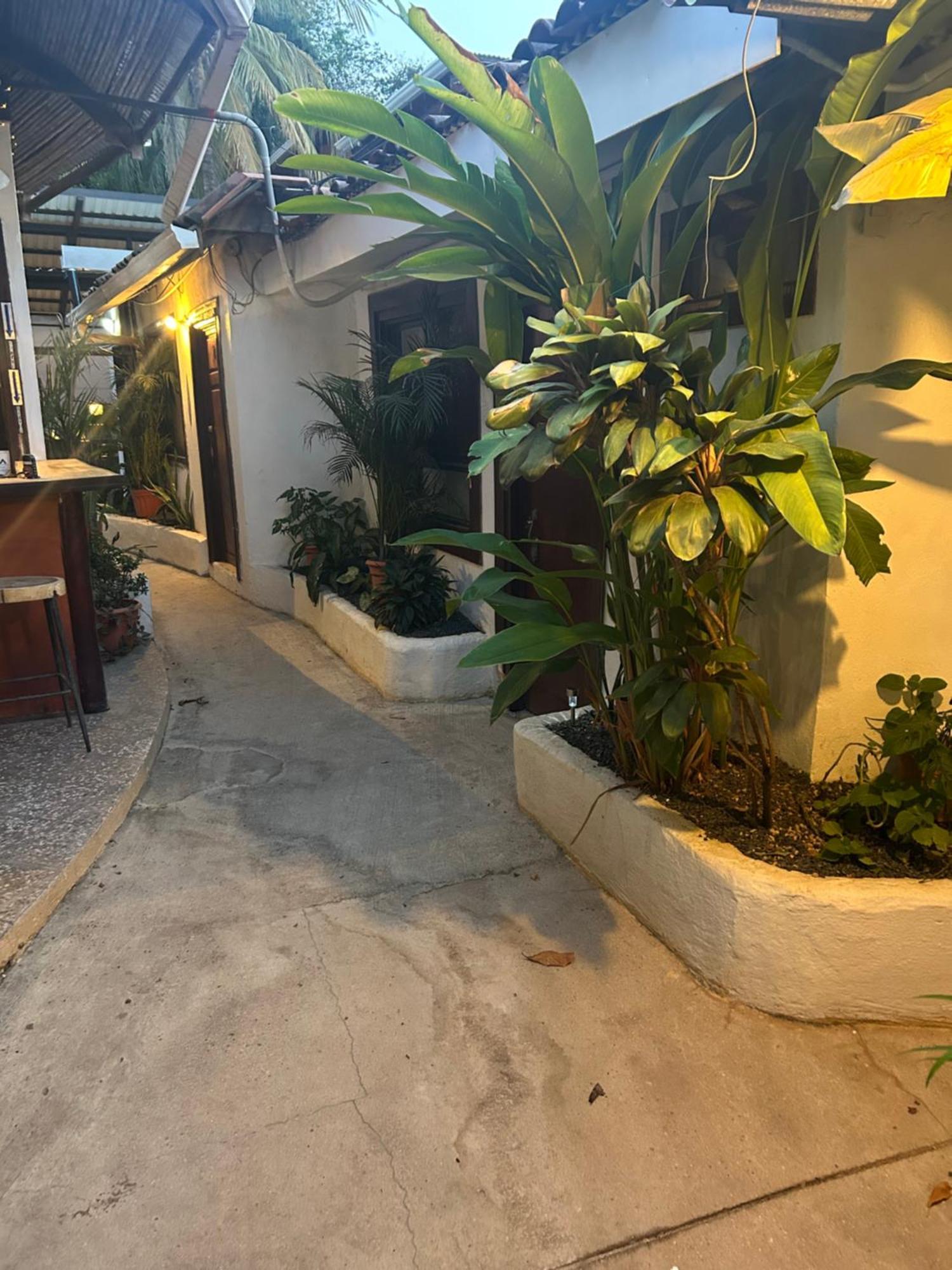 Pura Vida Hostel 塔马林多 外观 照片
