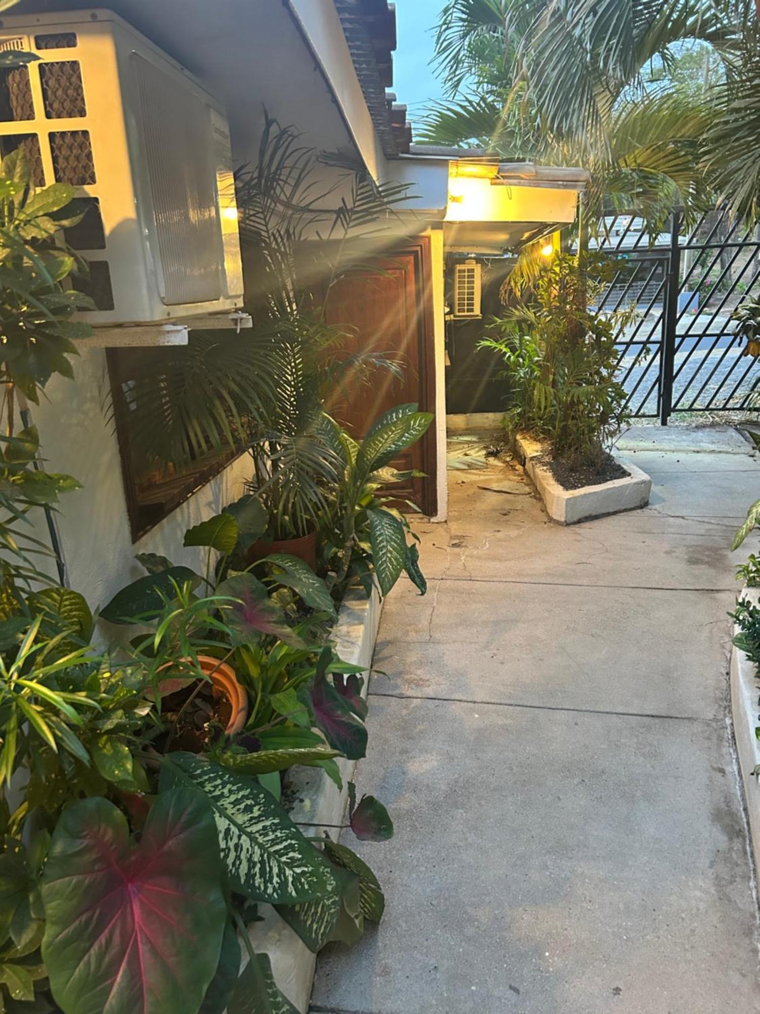 Pura Vida Hostel 塔马林多 外观 照片