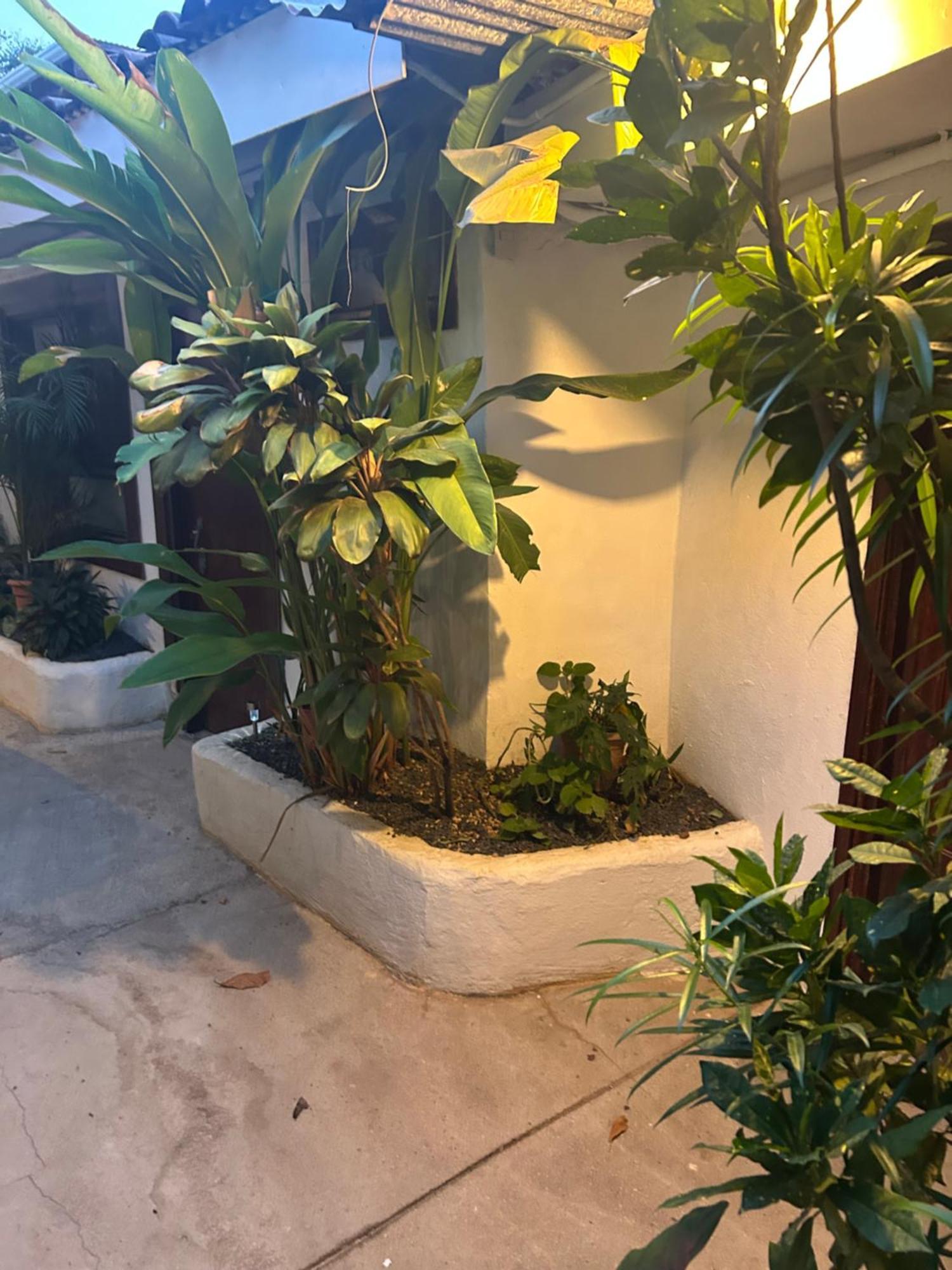 Pura Vida Hostel 塔马林多 外观 照片
