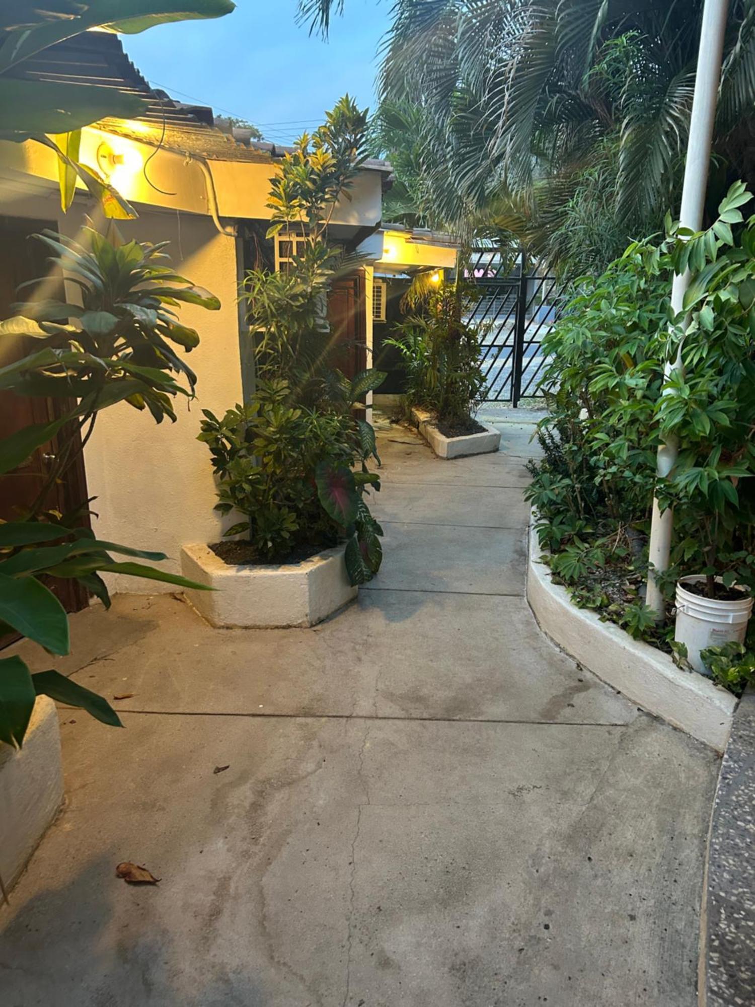 Pura Vida Hostel 塔马林多 外观 照片
