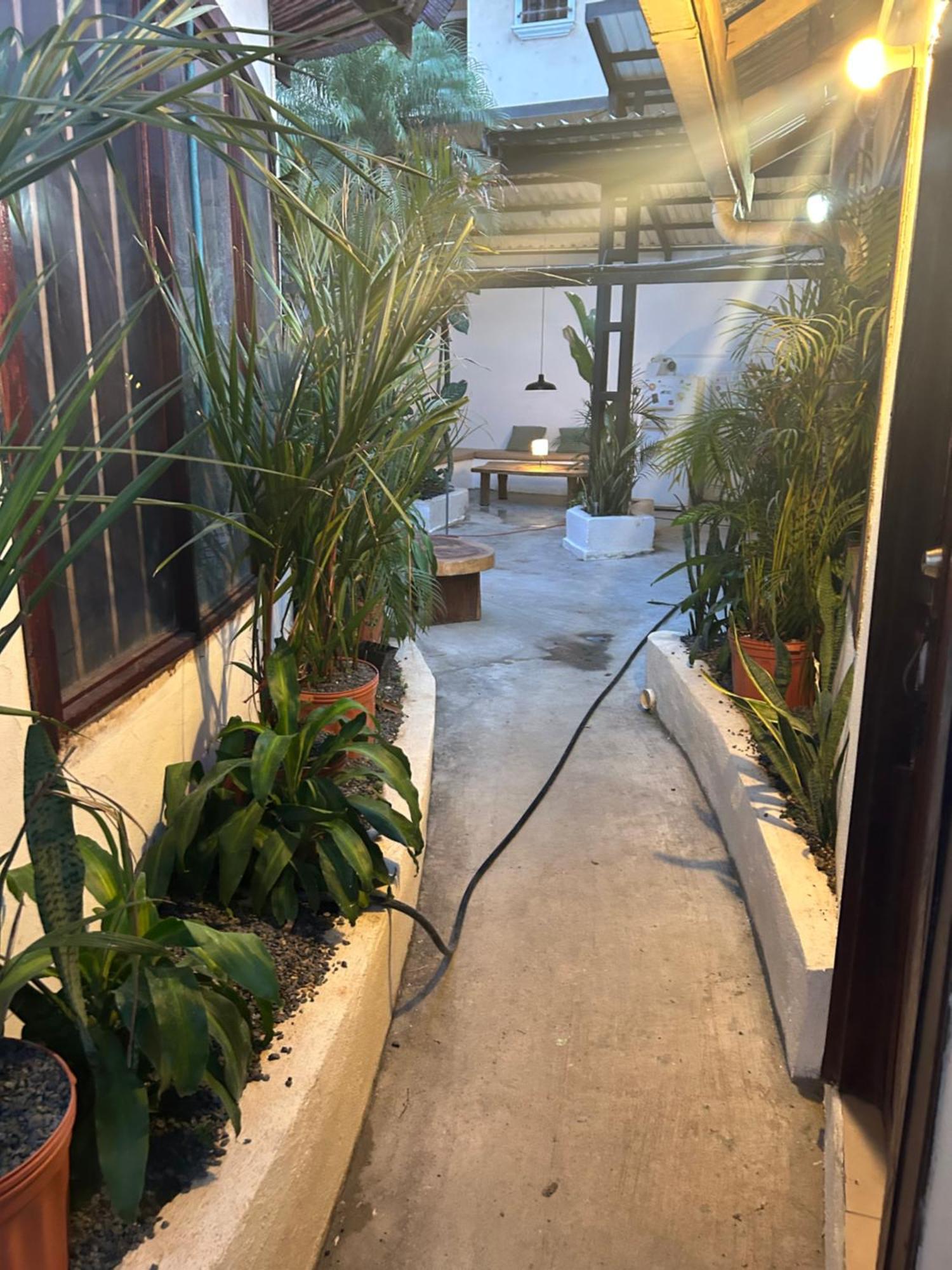 Pura Vida Hostel 塔马林多 外观 照片