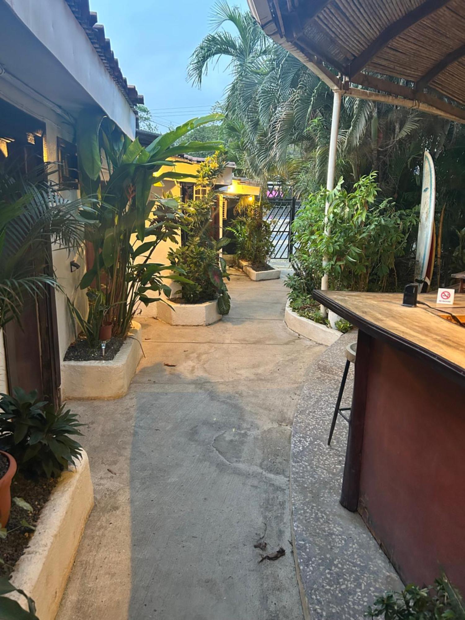 Pura Vida Hostel 塔马林多 外观 照片