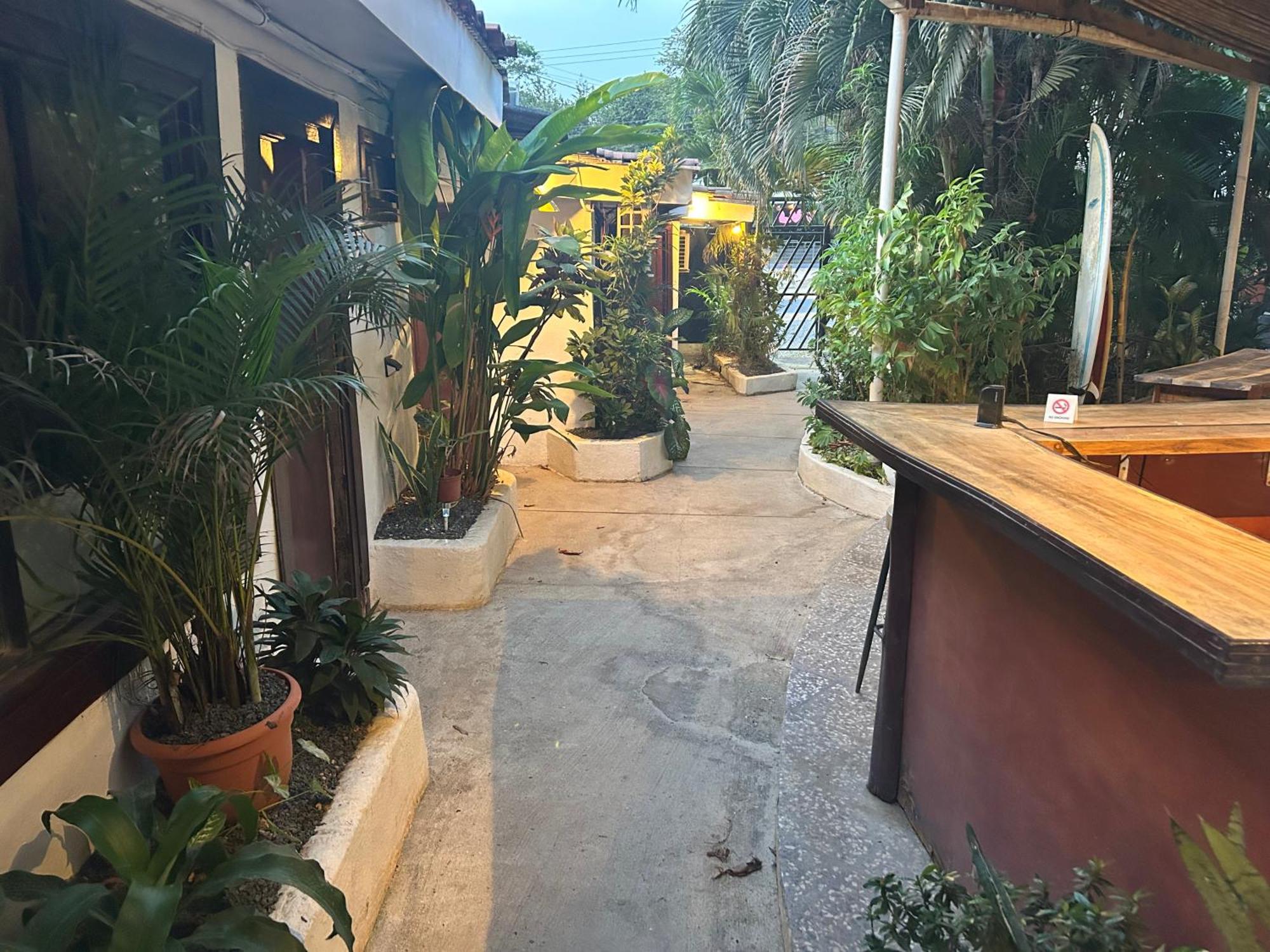 Pura Vida Hostel 塔马林多 外观 照片